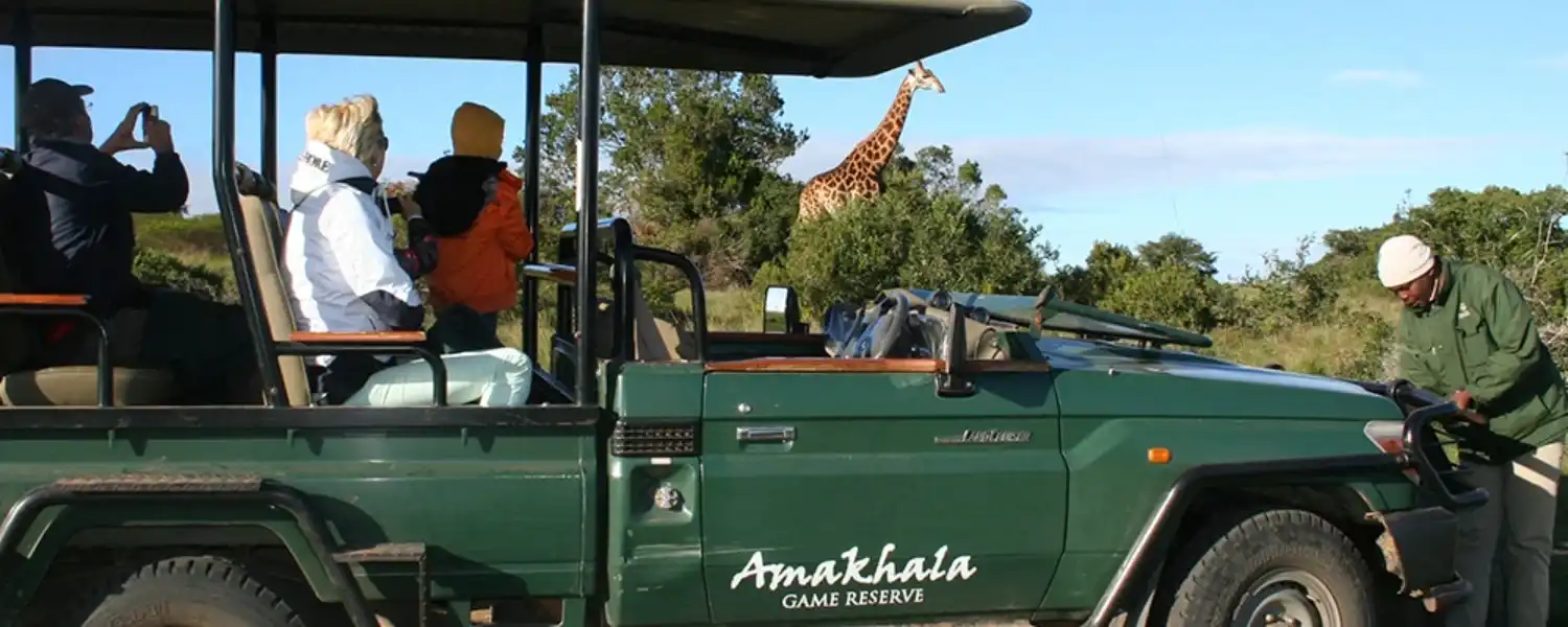 Essence of South Africa-1